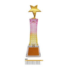 Crystal Glass LED Lighting Trophy NC8301 NC8301
